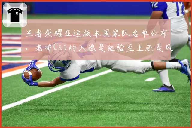 王者荣耀亚运版本国家队名单公布,老将Cat的入选是经验至上还是风险之举?